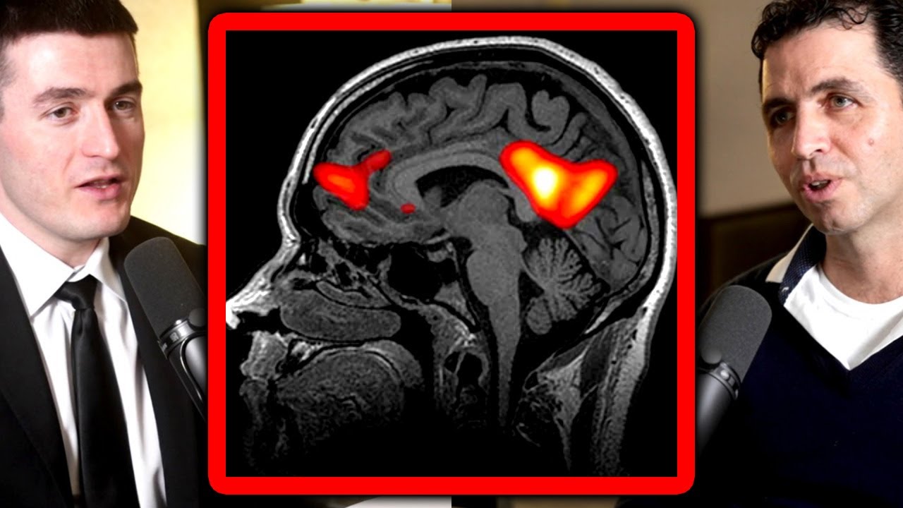 Hard problem of consciousness in AI | Manolis Kellis and Lex Fridman
