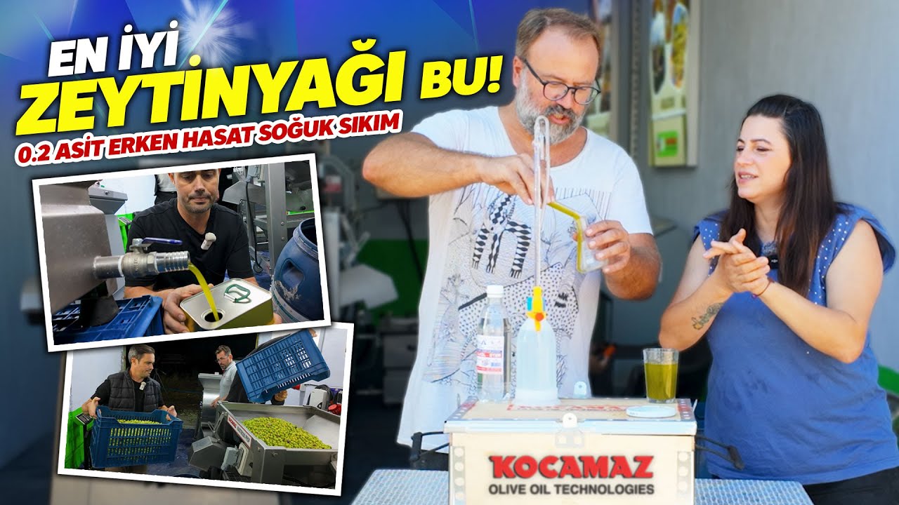 En İyi Soğuk Sıkım Erken Hasat Zeytinyağı Böyle Olur!