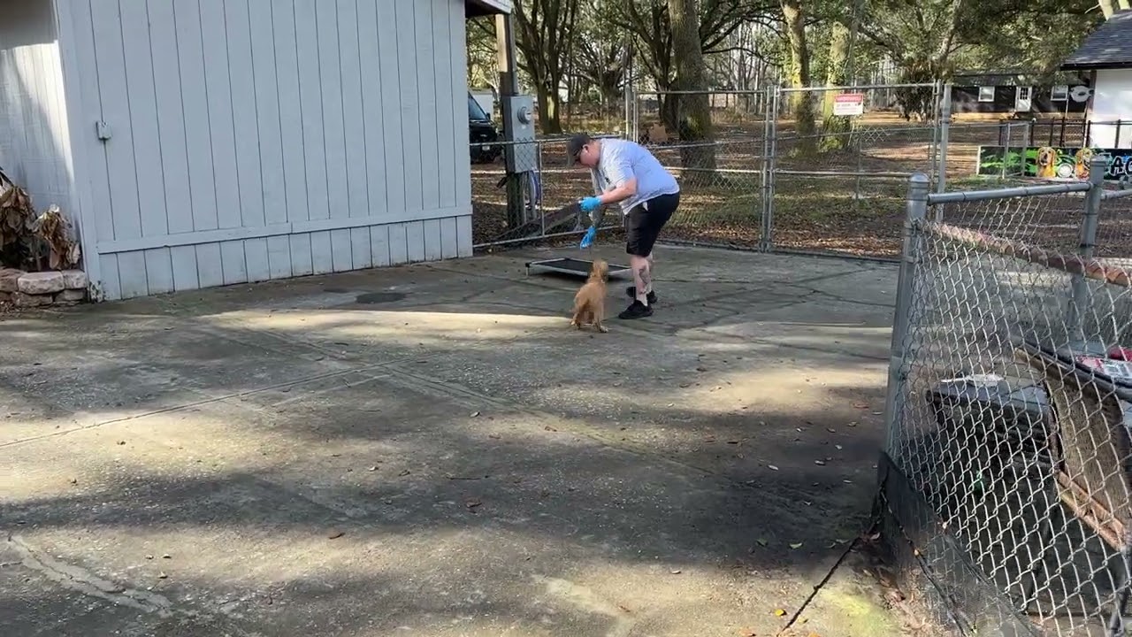 Sunny - Training 