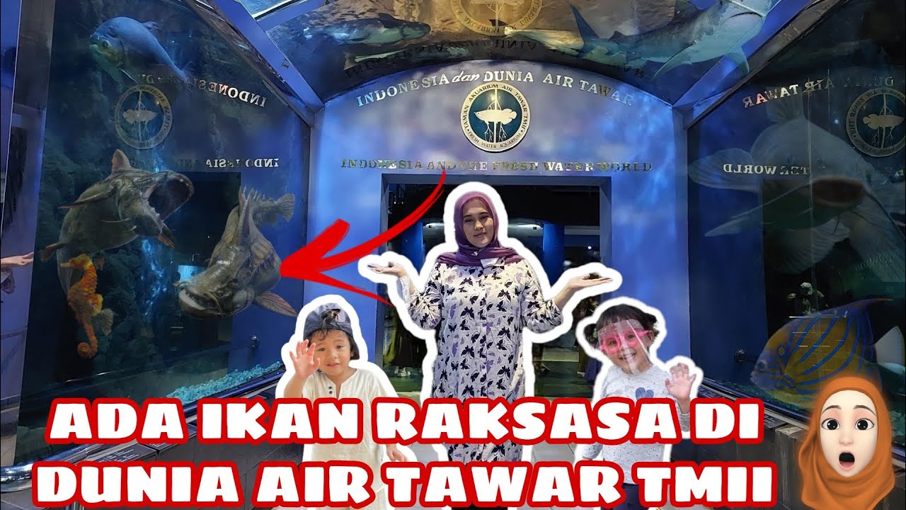 Ada Ikan Predator Raksasa di Wisata Dunia Air Tawar TMII | Akuariumnya Gede Banget | Review Terbaru