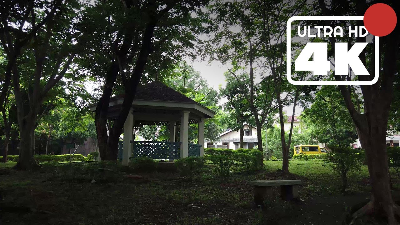 ❰4K❱ Gentle rainfall in Fairway View