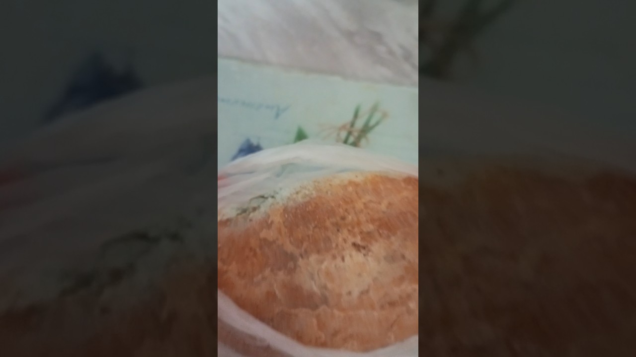 хлеб заплесневел 🍞 😥😢🤔