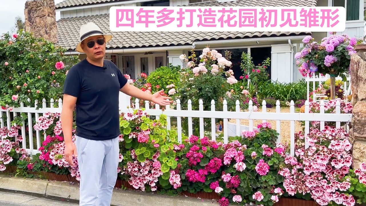 老何移民美国四年多打造的私家花园！赶紧订阅我的频道学种花吧！(园艺篇234）