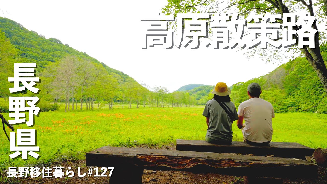 【長野移住】こんな所にこんな所があったか!?高原湿原!!｜黒姫高原｜斑尾高原｜ドライブ｜田舎暮らし｜長野県｜4K