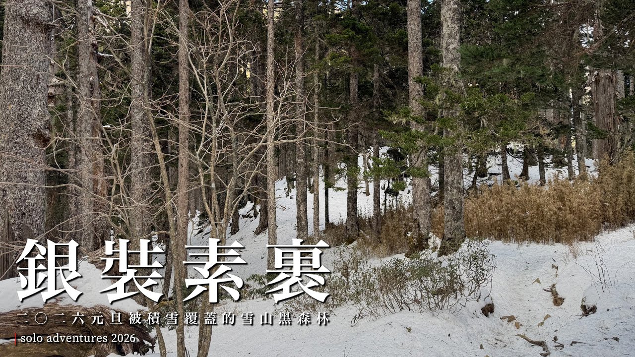 迎接二〇二六雪山主峰一日往返之旅 | 元旦、雪山黑森林的銀色溫柔、被白雪覆蓋的雪山圈谷與我第 24 次的雪山主峰行 | solo adventures 2026