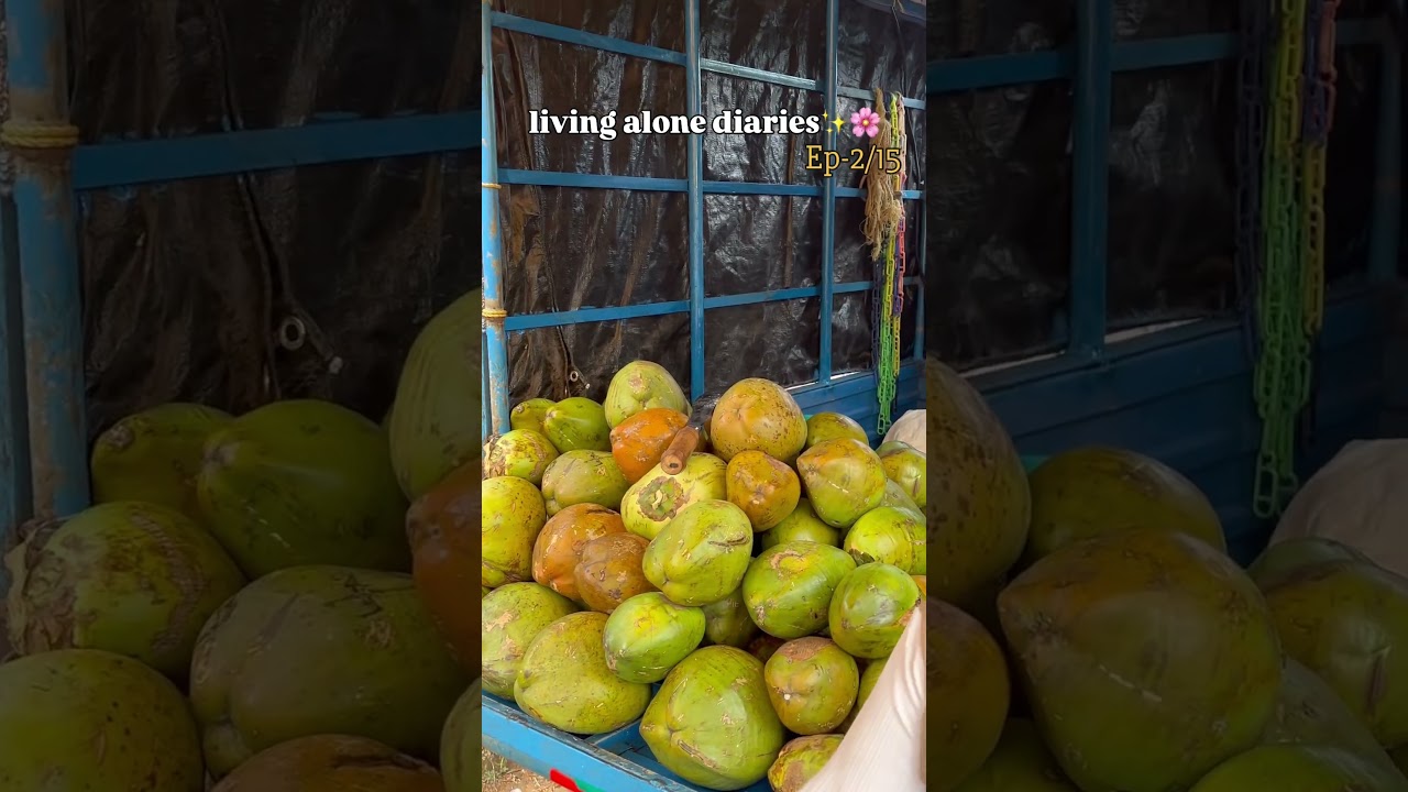 Living alone diaries Ep-2/15✨ 