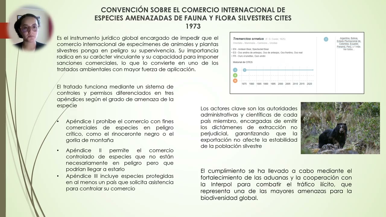 INVESTIGACION Y CONTEXTUALIZACION TRATADOS INTERNACIONALES