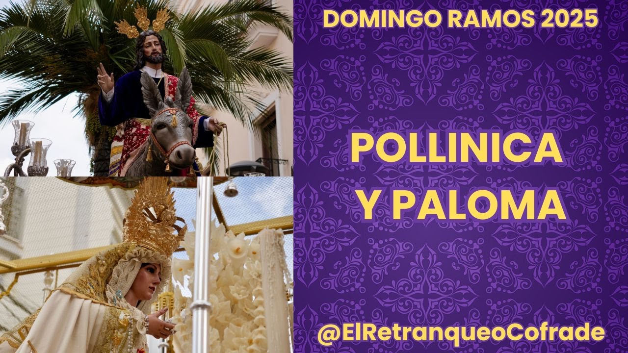4K Hermandad de la Pollinica y Virgen de la Paloma | Semana Santa Ronda 2025