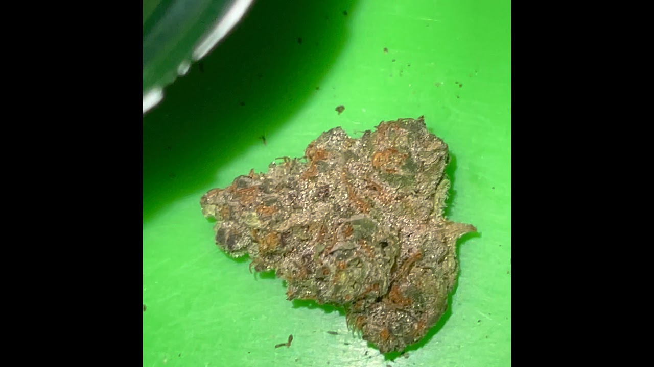 #cmozkittlez #cookies #cookiesmelrose