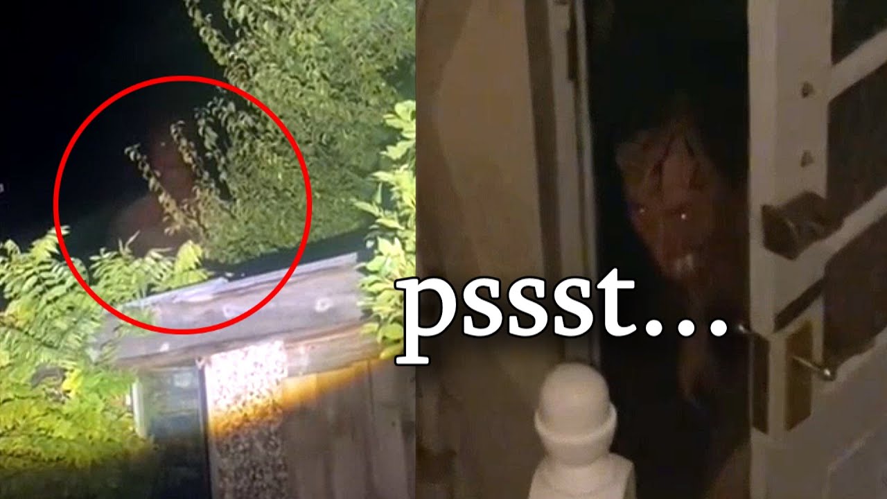 Cei Ce Bantuie In Bezna