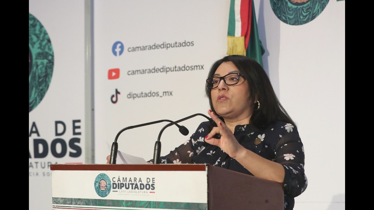 EN VIVO / Conferencia de prensa de la Dip. Martha Aracely Cruz Jiménez (PT)