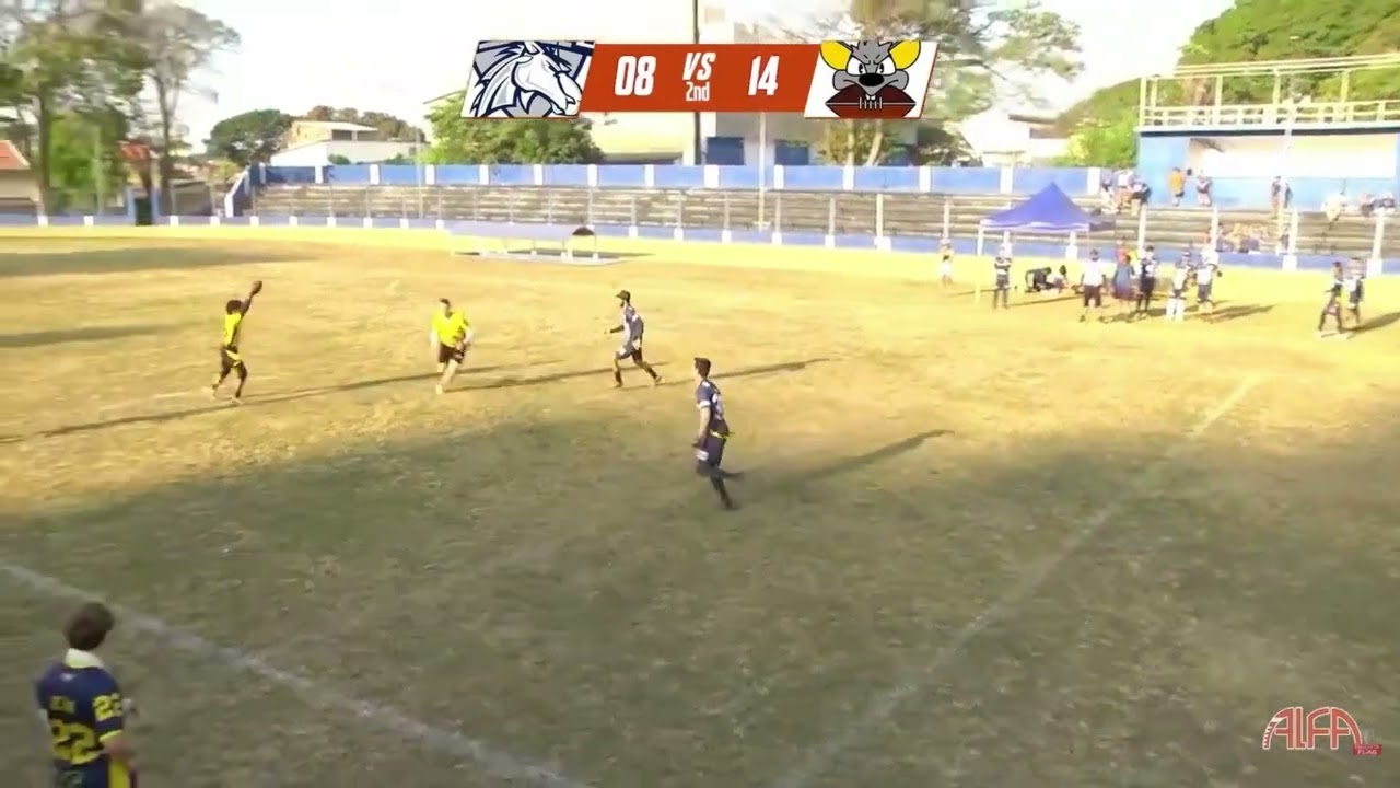 dasa