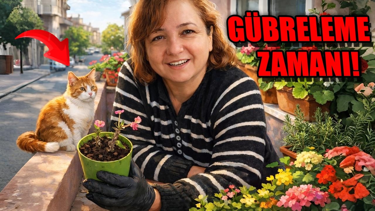 BALKONA YENİ ÇİÇEKLER, GÜBRELEME ZAMANI GELDİ!! / YAZA GİRMEDEN ÖNCE