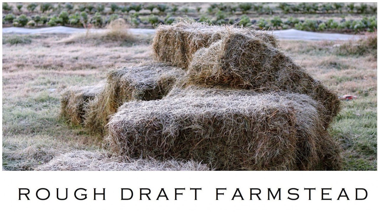 The Problem with Hay: A No-Till Conundrum