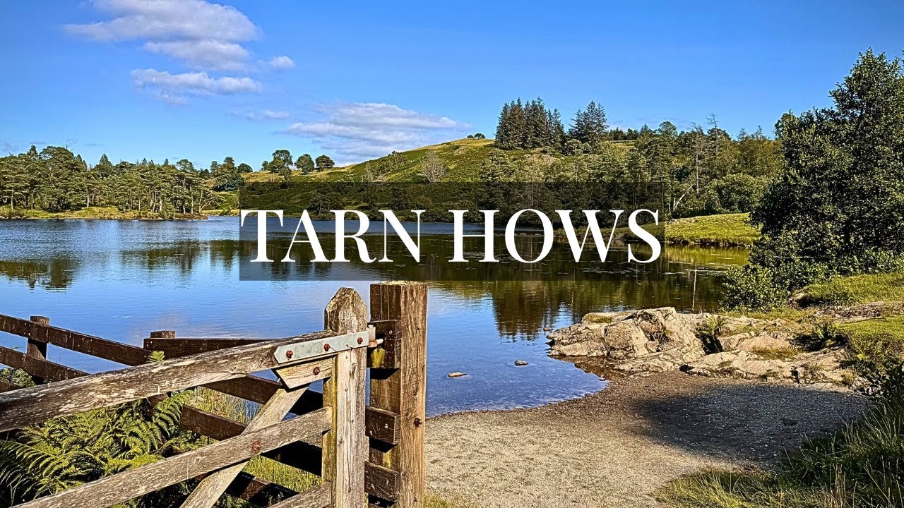 Walking Tarn Hows: The Most Relaxing Spot in the Lake District [4K, No Commentary]