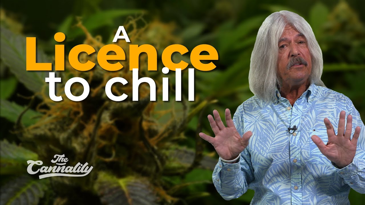 How tough is it to get a cannabis licence?
