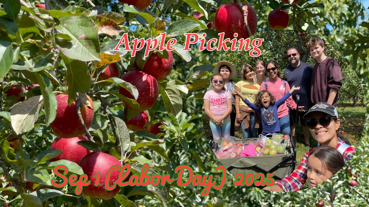 Apple picking | SkyTop Orchard, Hendersonville 