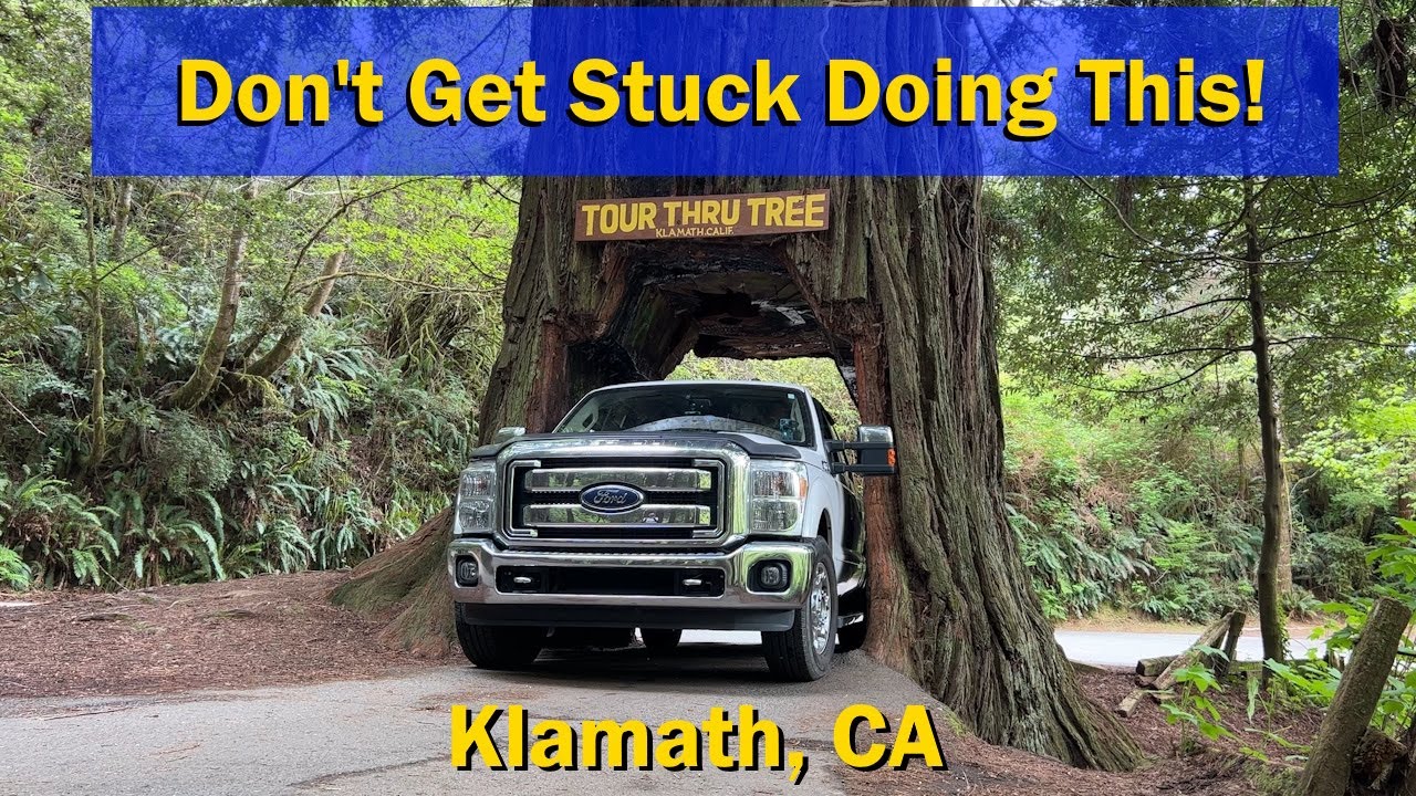 Klamath CA: Drive Thru Tree - Trees of Mystery - Bark Ranger