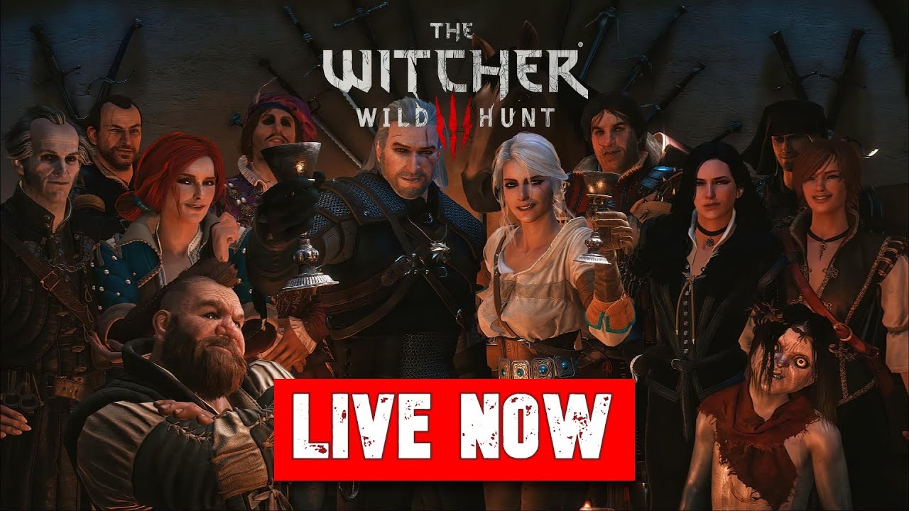 First Playthrough! The Witcher 3: Wild Hunt [Part 21] PC [continue after crash]