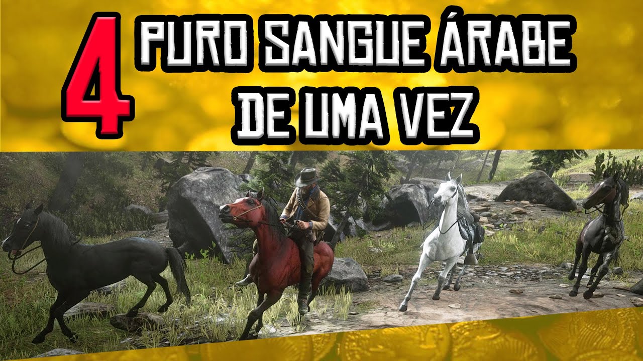Como pegar 4 Puro Sangue Árabe DE UMA VEZ! Melhor Cavalo Red Dead Redemption 2 ?