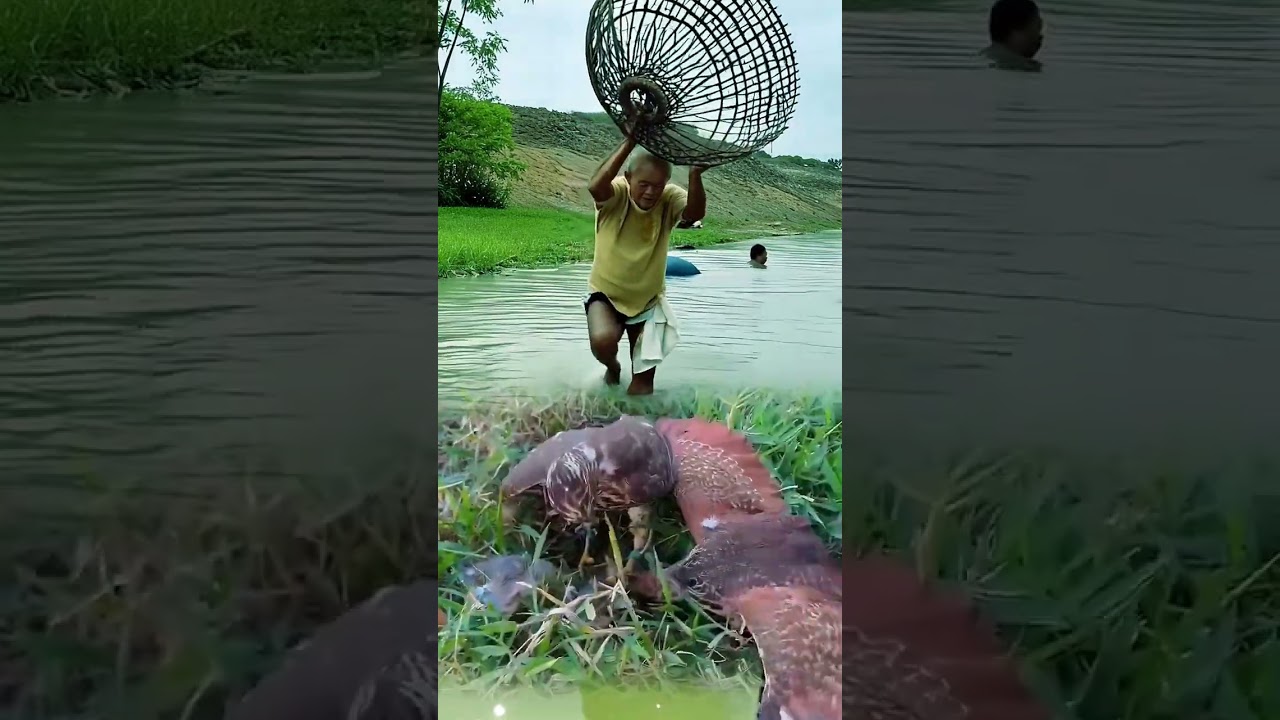 Eagles hunt wild animals at zero distance Dangerous moment Hunting moment Rare sight Shocked by th