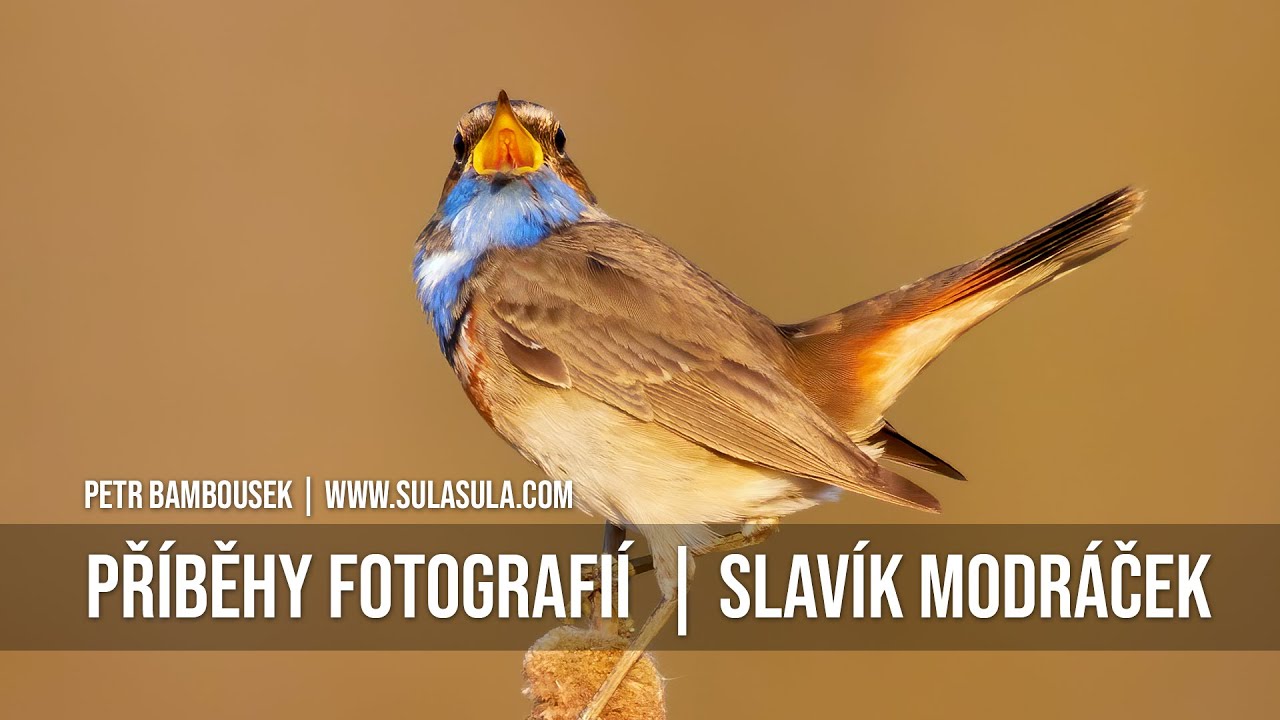 PŘÍBĚHY FOTOGRAFIÍ - SLAVÍK MODRÁČEK
