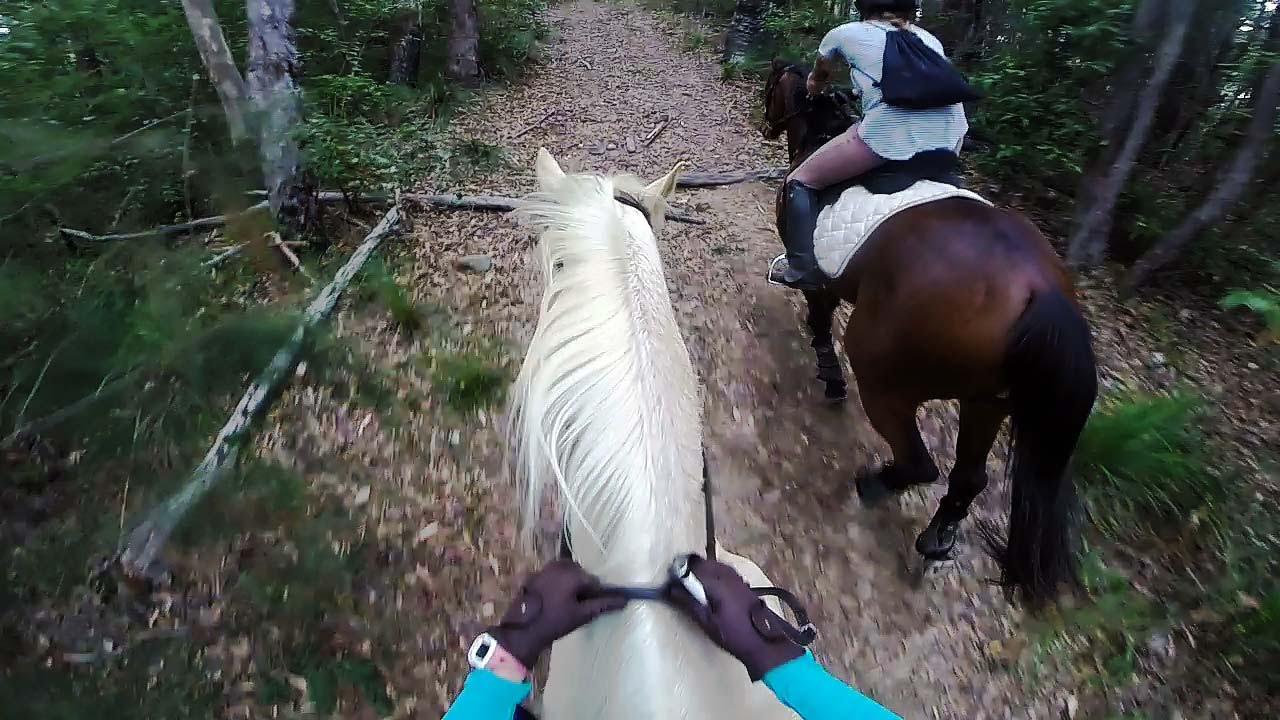 Come for a trail ride with me | 02/09/15