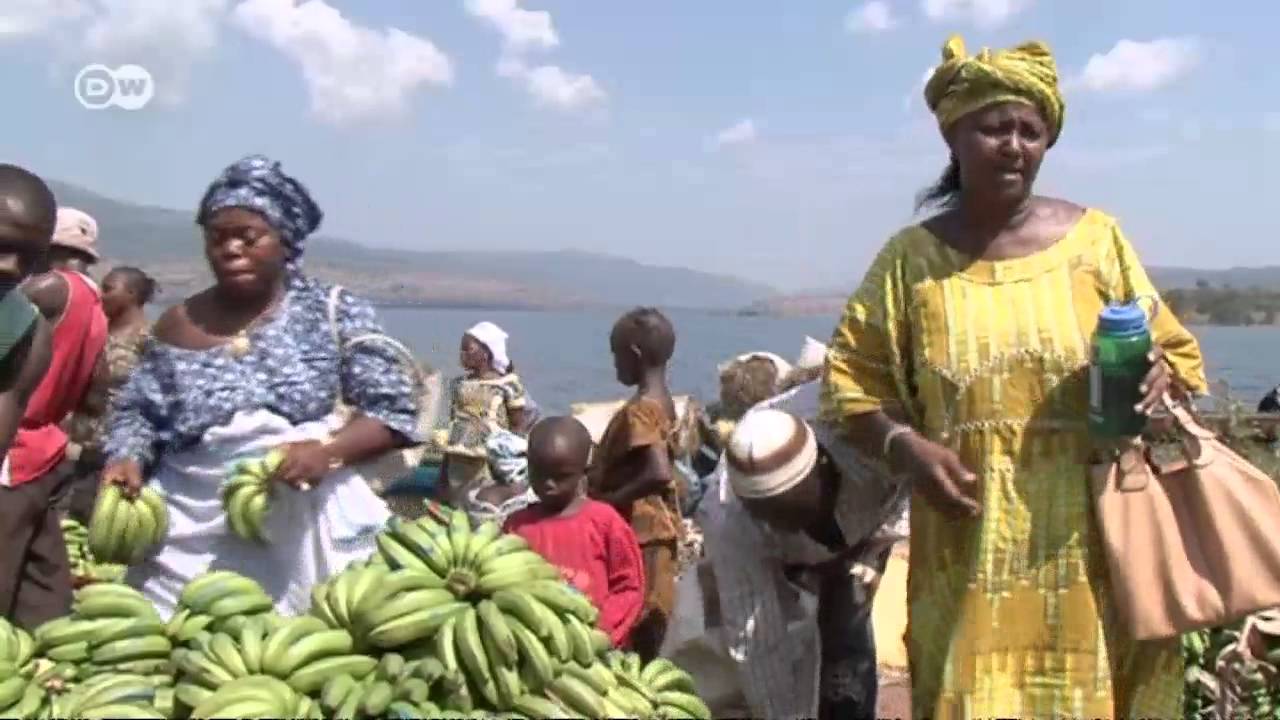 African Stories: Bananas from Guinea - more business, more affluence | Global 3000