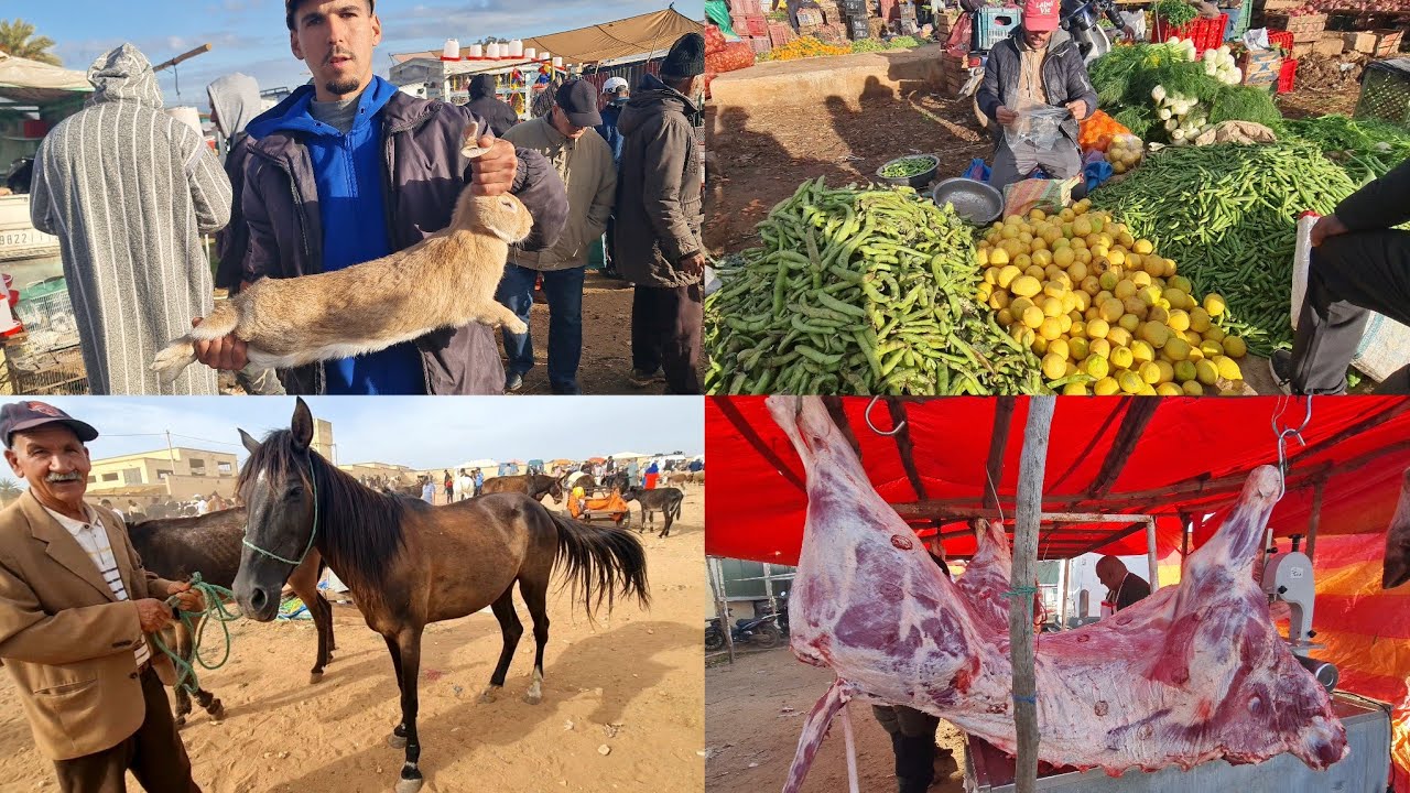 سوق خميس تاوجطات 2026/1/15 للحوم حمراء وخيول ودجاج بلدي وسمك وخضر وفواكه 