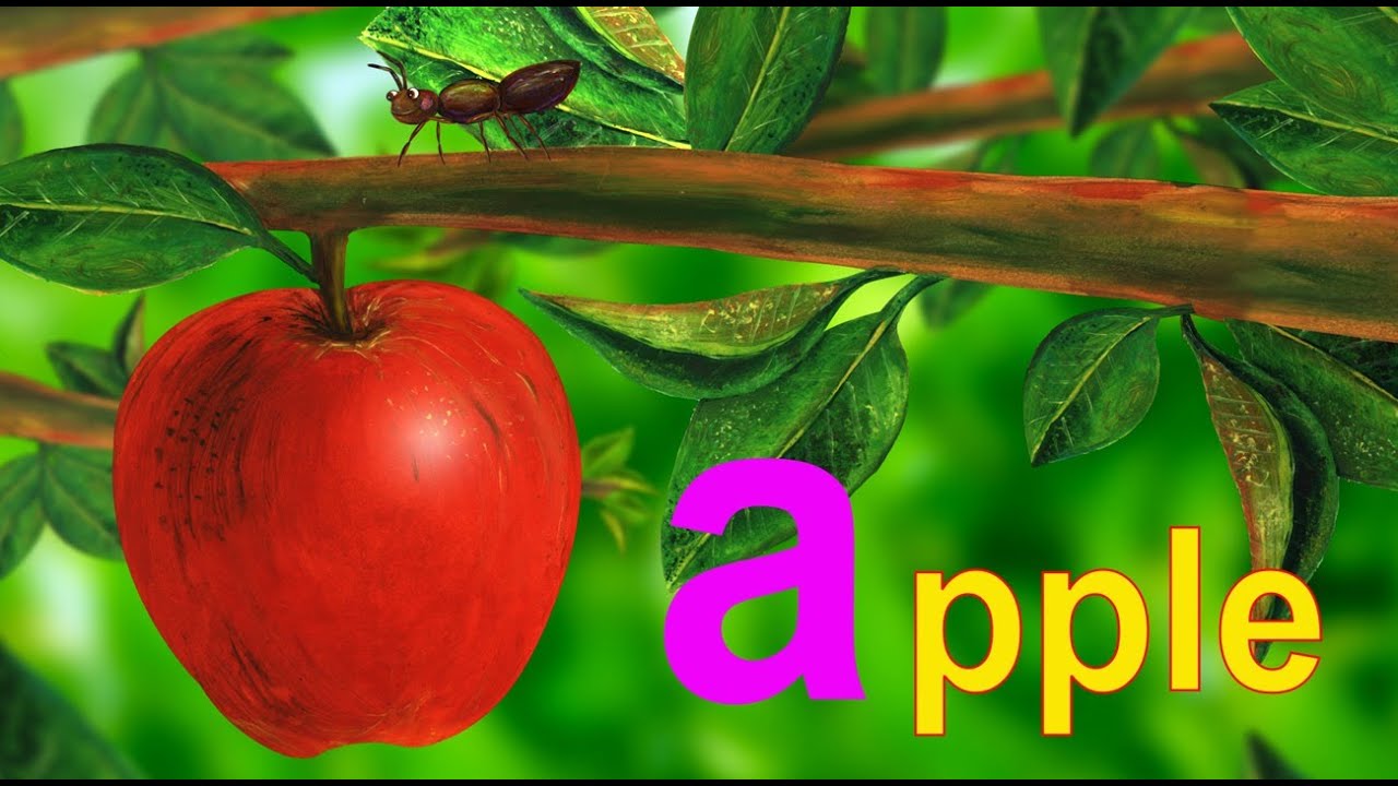 Learn the ABCs in Lower-Case: 