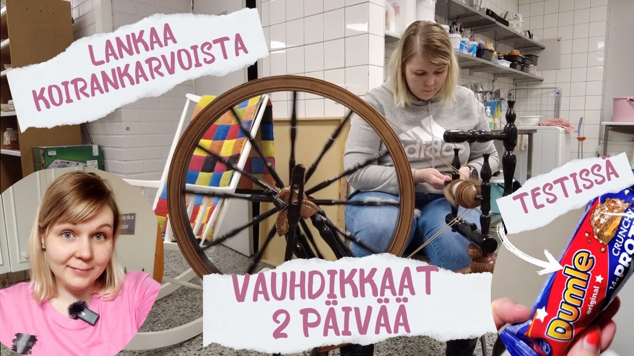 2 päivän vlog / Kehrätään koirankarvasta ja lampaanvillasta lankaa / Työjuttuja / siivous jatkuu