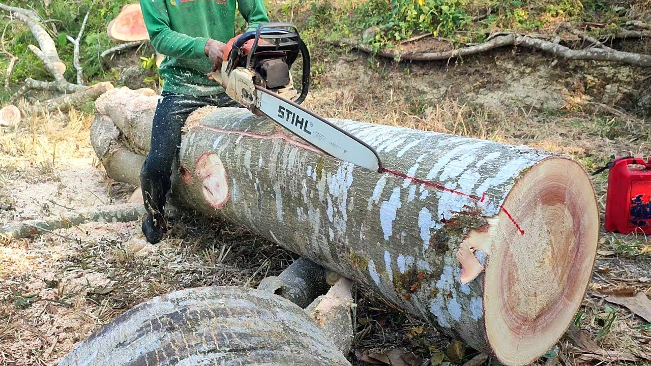 Keterampilan operator chainsaw membuat ukuran 6 cm × 6 cm - chainsaw 382