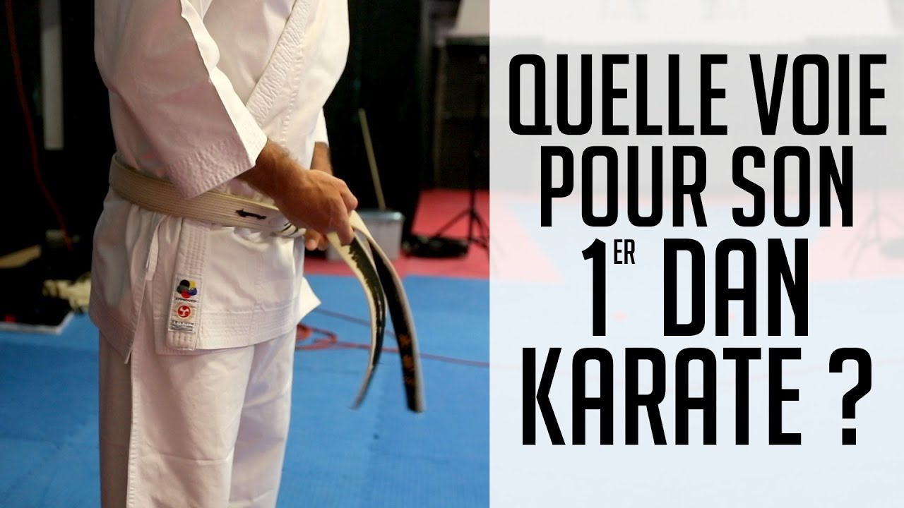 ⛩ Quelle VOIE choisir pour son 1 DAN de KARATE ?