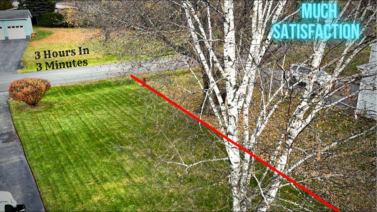 Yard Clean Up | Much Satisfaction | Time Lapse