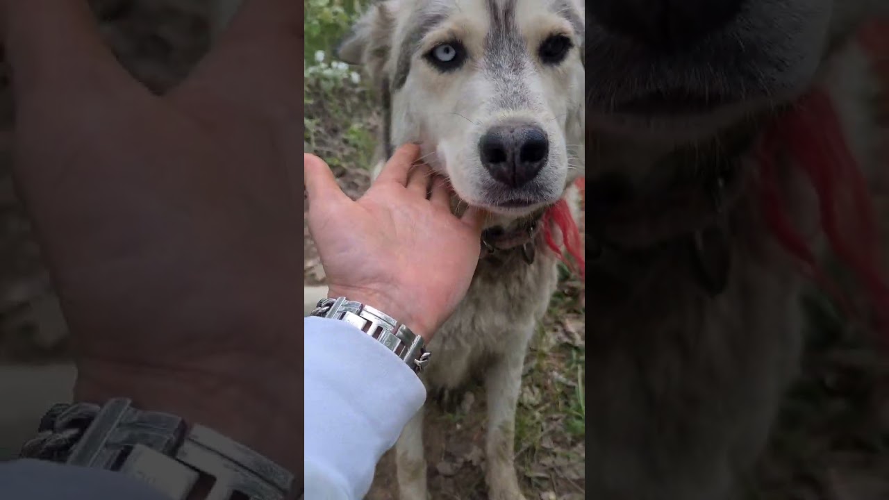 ЗКО  село Асан, вело эко поездка с младшей группой     12.05.2024 год