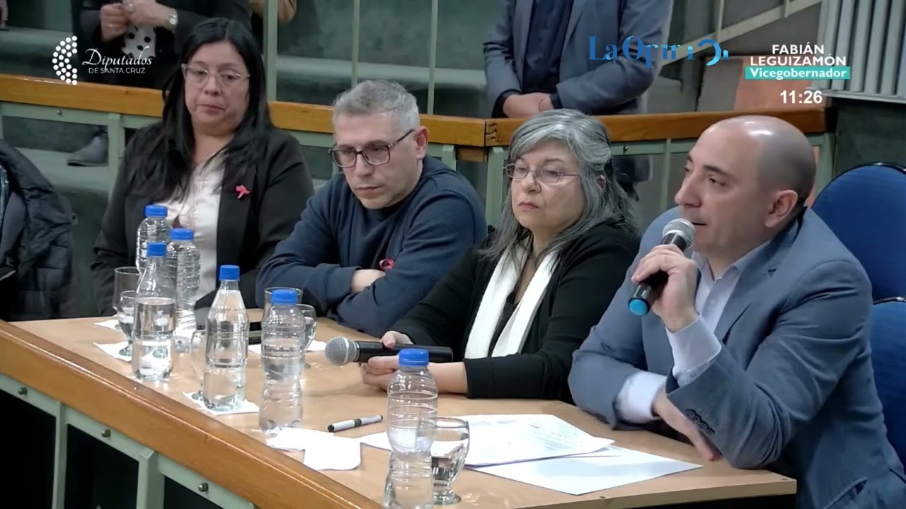 Pérez Soruco respondió ante Diputados sobre las compras de la CSS a la Droguería Suizo Argentina
