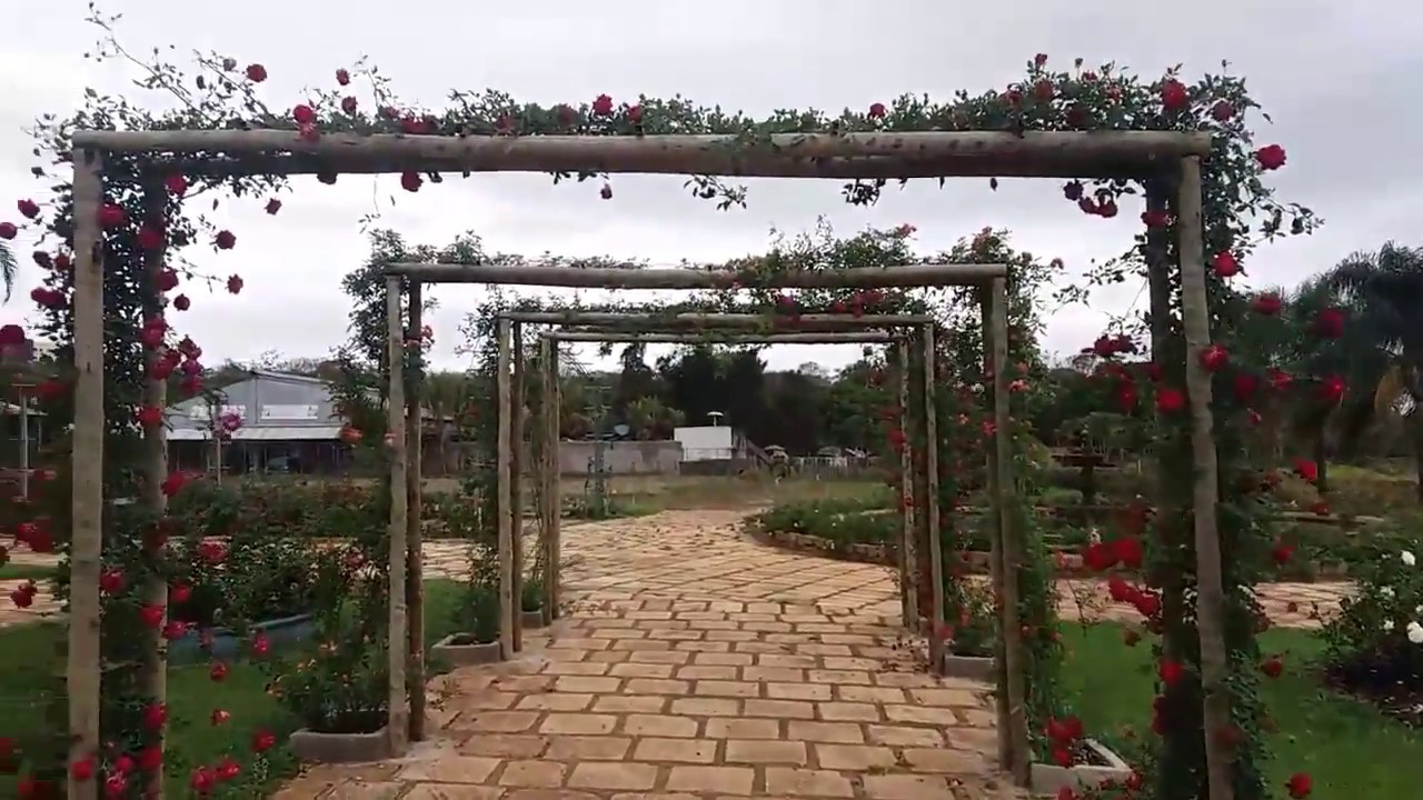 Pergolado em seu Jardim?