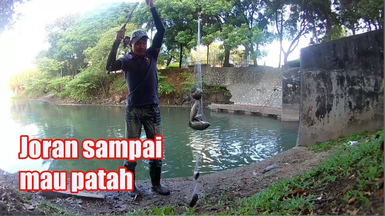 double strike sampai 6 ekor !! pancing jaring ikan nila,,spring bomb net