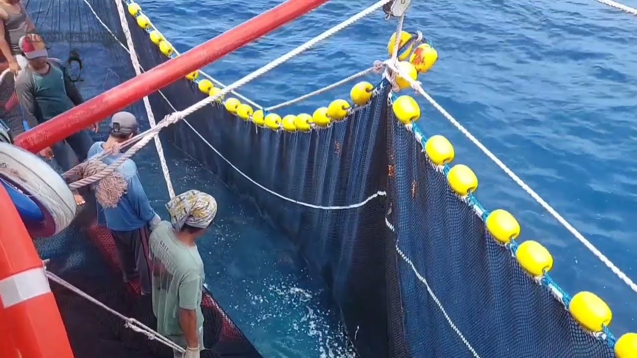 kapal jaring ikan indonesia, kapal cakalang muara baru