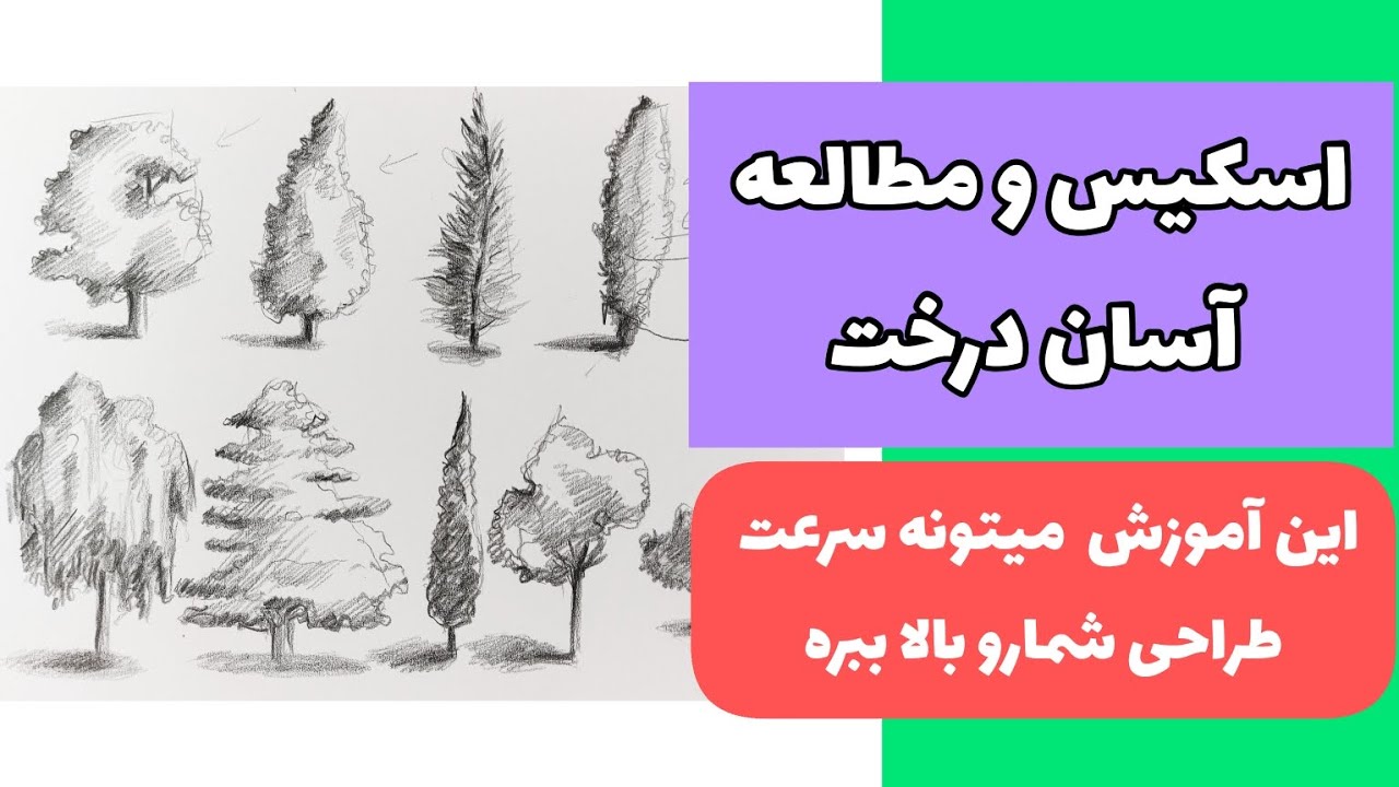 اسکیس ساده از درخت|در این آموزش شما طراحی ۹تا درخت رو یادمیگیرید