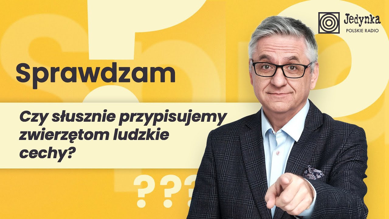 Zoopsycholog: nie traktujmy ps&oacute;w i kot&oacute;w jak małe dzieci | Sprawdzam