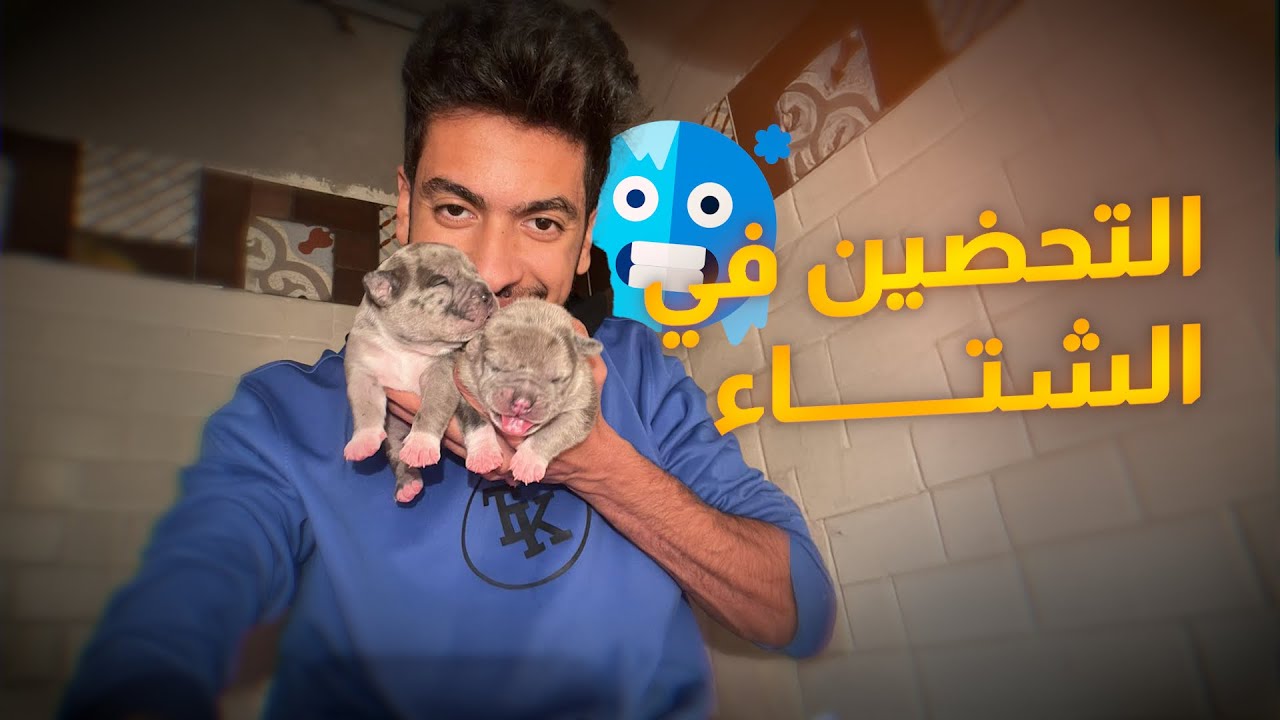 حاجات لازم تأخد بالك منها لو كلبتك هتولد في الشتاء…!!!!