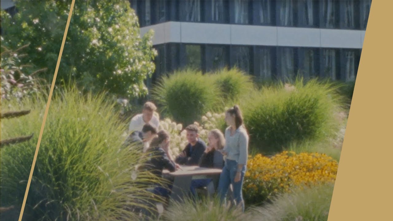 Ausbildung oder duales Studium bei GOLDBECK – deine Entscheidung für eine nachhaltige Zukunft.