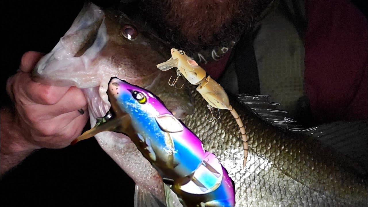 SPRO BBZ-1 Rat 30 vs Rat 50 [Slaying Topwater Bass] 2020