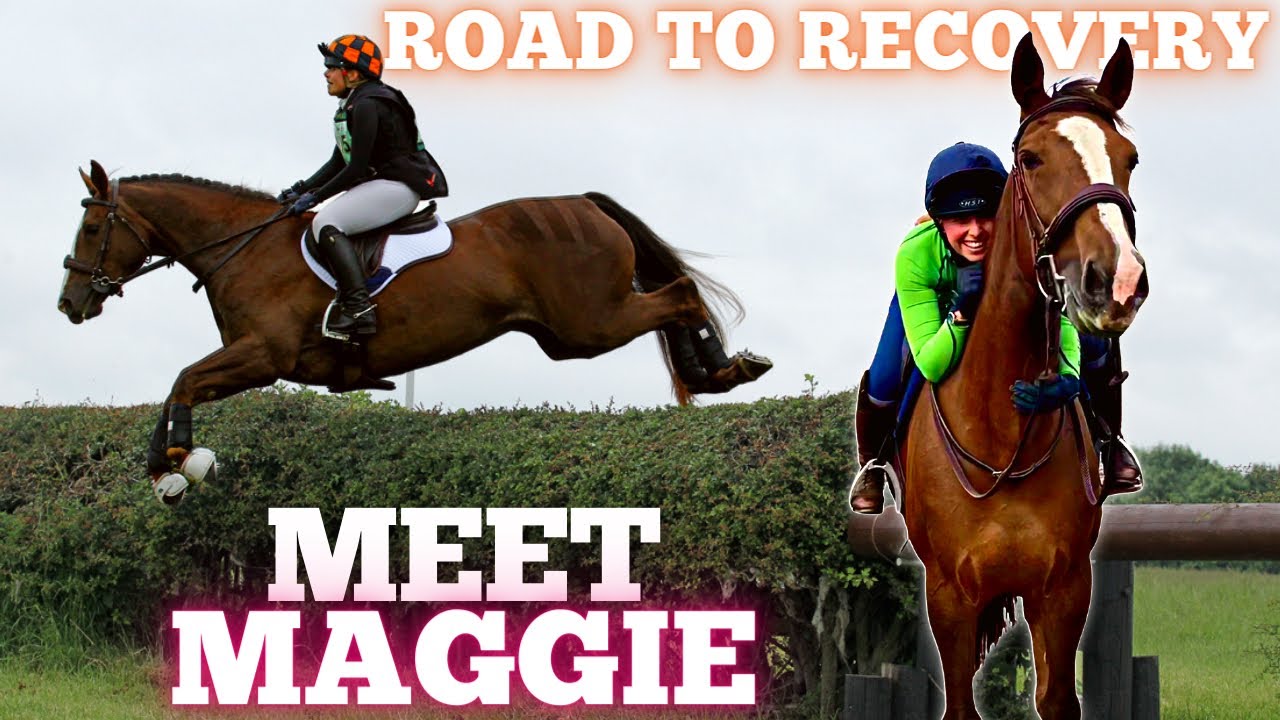 Meet Maggie! ~ Recovering from Colic Surgery / Colitis ~ Maggie’s Story and Eland Lodge BE100