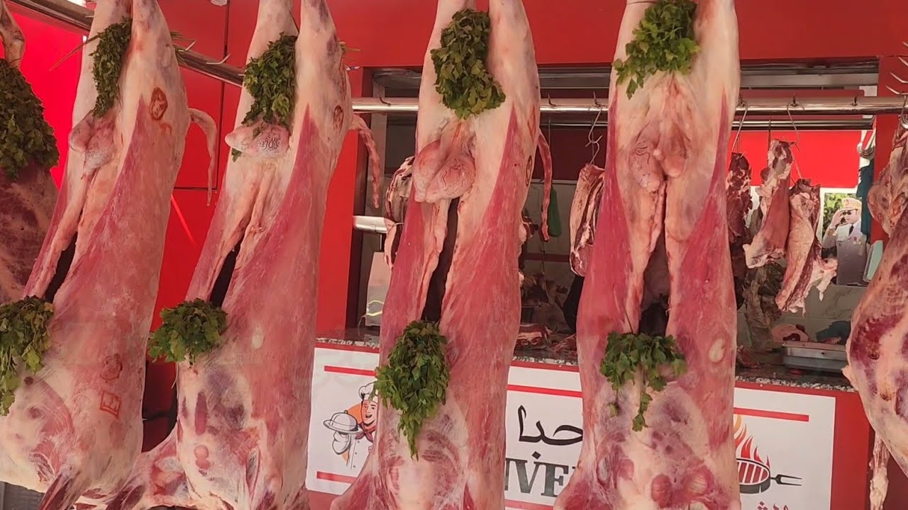 مباشرة من مدينة شارع محمد سادس عند عمر تاريخ تصوير 1/2/2026