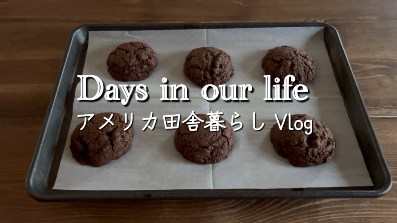 【🇺🇸アメリカ田舎暮らし】日系スーパー購入品 | アメリカンなダブルチョコレートクッキー