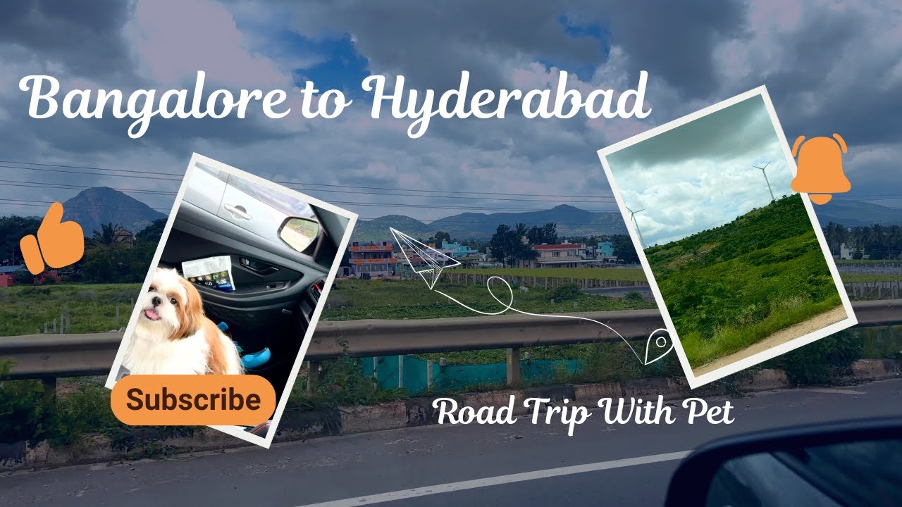 Bangalore to Hyderabad By Road | Road Trip With Pets | Monsoon Road Trip
