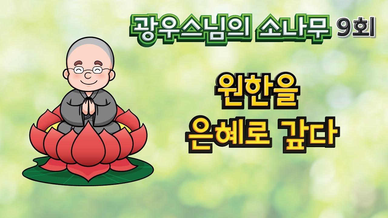 원한을 은혜로 갚다 | 광우스님의 소나무 9회