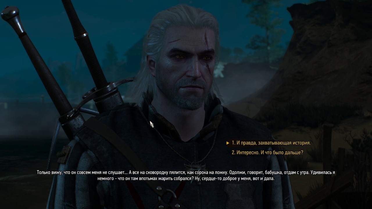 The Witcher III 20170110 221235